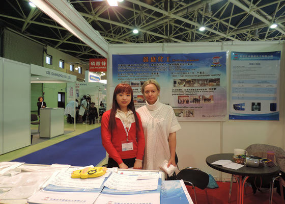 Anti Corrosive Zinc Phosphate Powder White Paint Pigment Eco Friendly