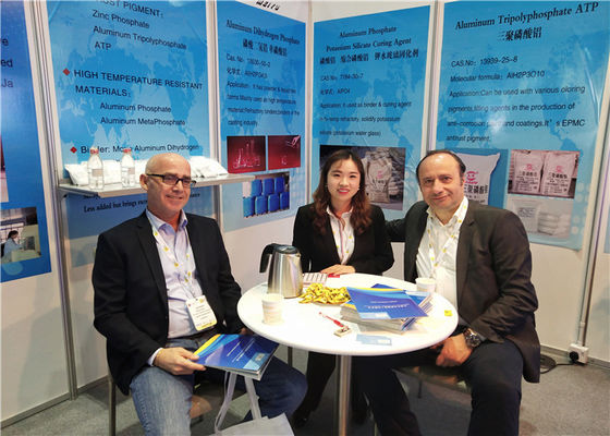 7779-90-0 Zinc Phosphate O -Level 325 Mesh For Solvent Based Paint And Coatings